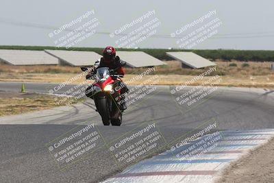 media/Jul-14-2024-Pacific Track Time (Sun) [[a68aef95ee]]/C Group/1230pm (Wheelie Bump)/